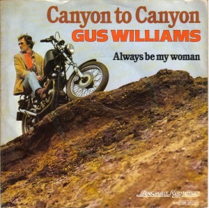 Canyon to canyon