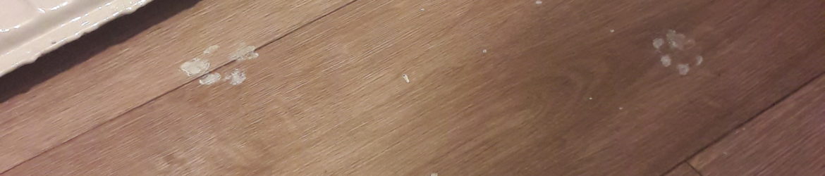20190410_204338